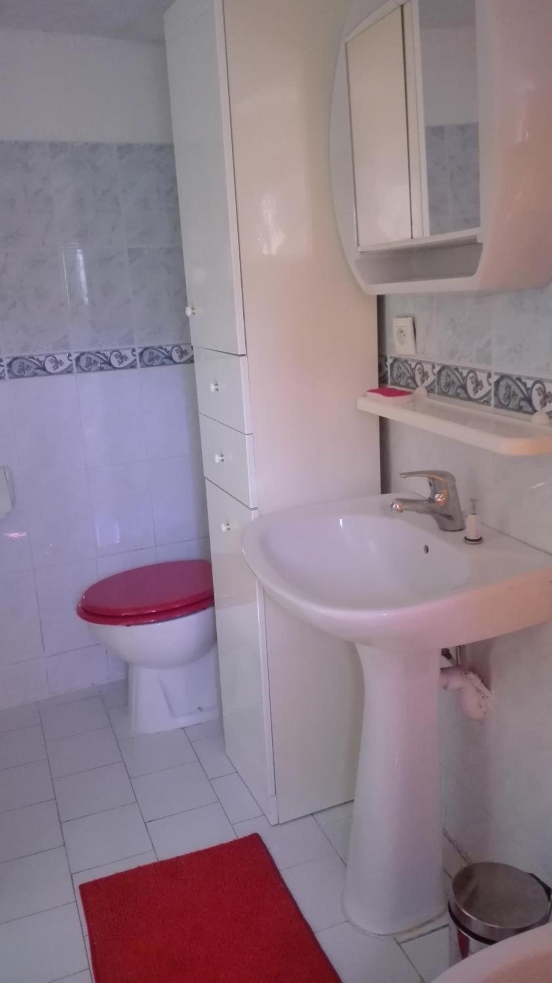 شقة Niolu Albertacce المظهر الخارجي الصورة